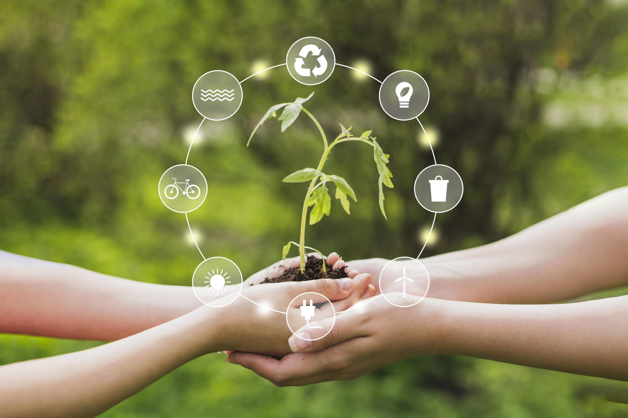 La importancia de la sostenibilidad en los negocios